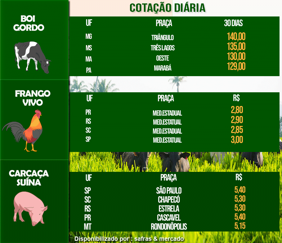 Indicadores